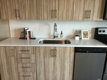 Euro-style cabinetry with quartz countertops